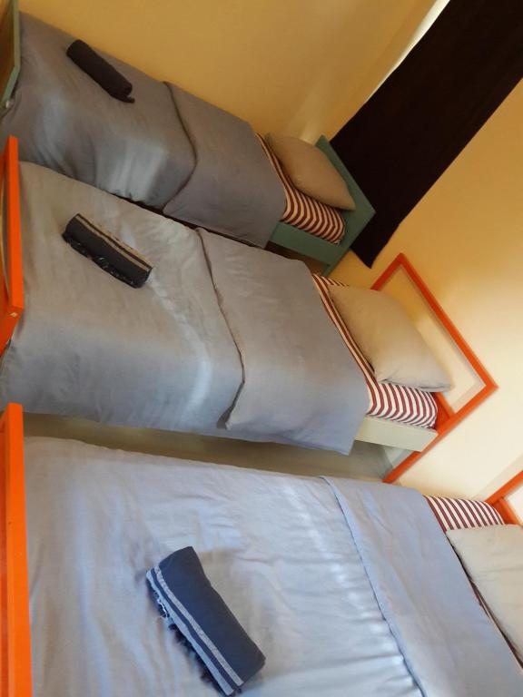 Номер (Односпальная кровать в общем номере для женщин) хостела TAXİM HOSTEL, Стамбул