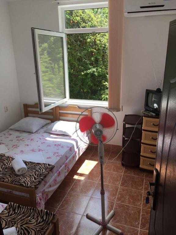 Двухместный (Небольшой двухместный номер с 2 отдельными кроватями) гостевого дома Флора, Гагра