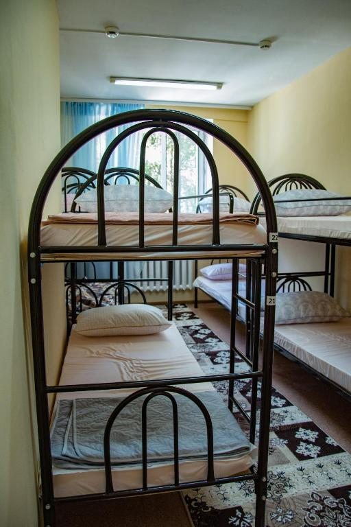 Номер (Спальное место на двухъярусной кровати в 8-местном общем номере для женщин) хостела PalmBay, Алматы