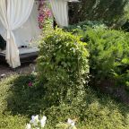Барбекю, Апартаменты Flora&Komfort