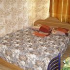 Двухместный (Двухместный номер с 1 кроватью или 2 отдельными кроватями и ванной комнатой), Гостевой дом Светлана на Самбурова