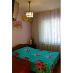 Двухместный (Бюджетный двухместный номер с 1 кроватью), Гостевой дом Рапсодия