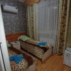 Двухместный (Двухместный номер с 2 отдельными кроватями и собственной ванной комнатой), Гостевой дом У Светланы