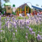 Своя ухоженная территория, База отдыха Русалочка