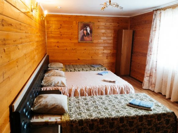 Фотография номера мини отеля Сказка