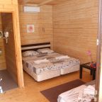Двухместный (Большой двухместный номер c 1 кроватью или 2 отдельными кроватями), Гостевой дом Агатис