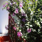 Трехместный (Бюджетный трехместный номер), Гостевой дом Анастасия