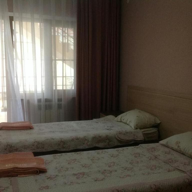Двухместный (Двухместный номер с 2 отдельными кроватями) гостевого дома У Елены, Геленджик