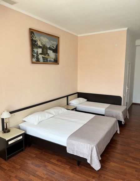 Фотография номера гостевого дома Мегаполис