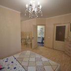 Апартаменты (Апартамент-студия с кухней ном 23), Гостевой дом Brio