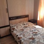 Двухместный (Стандартный двухместный номер с 1 кроватью или 2 отдельными кроватями), Гостиница Виола