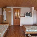 Четырехместный (Четырехместный номер эконом-класса), Гостиница Виола