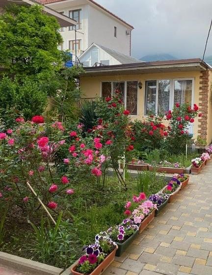 Guest House U Marusi