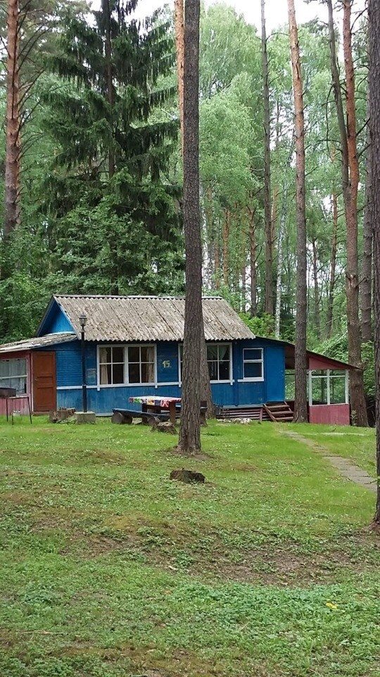 Дом (Двухместный) базы отдыха Голубой огонёк, Волковское