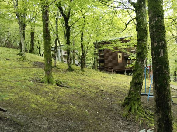 Фотография номера базы отдыха Олимп