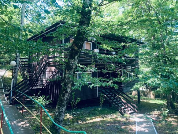 Фотография номера базы отдыха Олимп