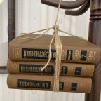 Книги в номерах и в общественных зонах, Отель Северный Цветок