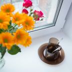 Уютные апартаменты с кухней в центре города