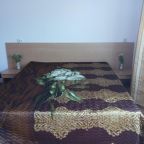 Двухместный (Двухместный номер с 1 кроватью), Гостевой дом Марина