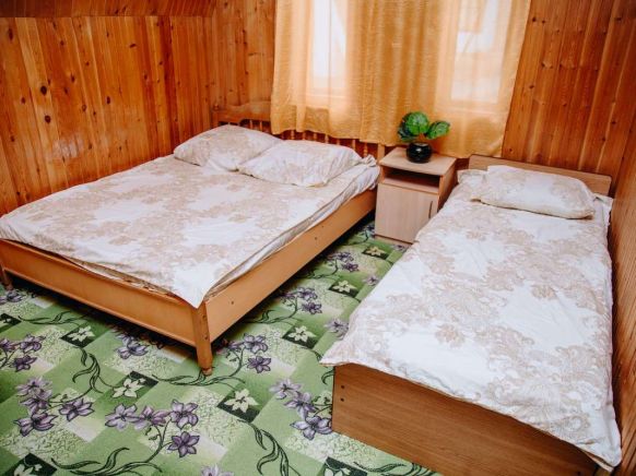Фотография номера базы отдыха Динамо 2