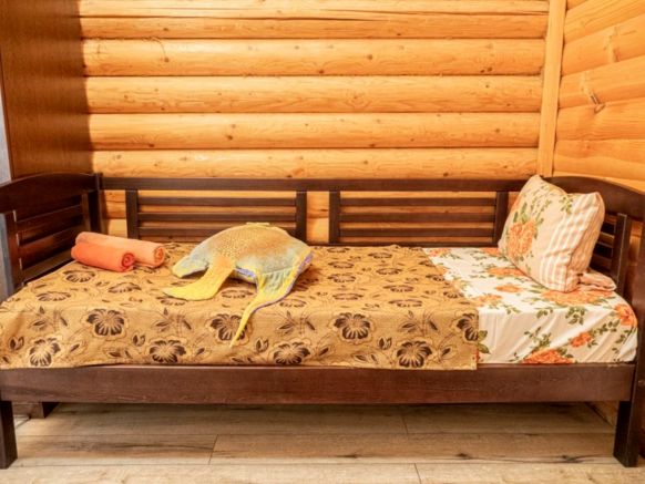 Фотография номера базы отдыха Золотая рыбка