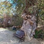 Пешие прогулки, База отдыха Хуторок