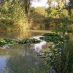 Своя ухоженная территория, База отдыха Хуторок