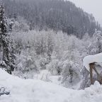 Номер (Шале с 3 спальнями), Nart El Chalet