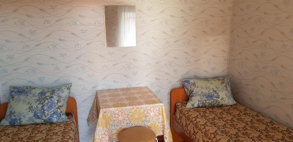 Двухместный (Бюджетный двухместный номер с 2 отдельными кроватями) мини-гостиницы Тамара, Соль-Илецк