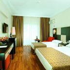 Двухместный (Стандартный двухместный номер с 1 кроватью), Aydinbey Famous Resort
