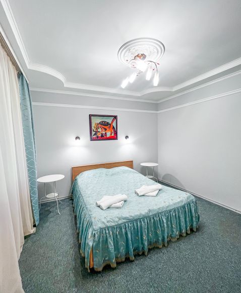 Фотография номера санатория Долина Алтая