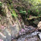 Пешие прогулки, База отдыха Панорама