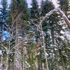 Пешие прогулки, База отдыха Панорама