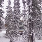 Номер (Дом с 4 спальнями), Отель Forest House