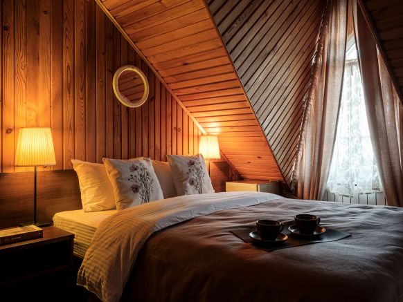 Фотография номера гостиницы Елена