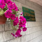 Крыльцо отеля