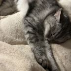 У нас очень уютно