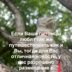 Для уточнения информации после бронирования свяжитесь с нами