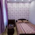 Двухместный (Стандарт номер с Одной двуспальной кроватью и собственной ванной комнатой), Гостиница Вектор В