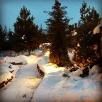 Зимний пейзаж