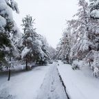 Зимний пейзаж