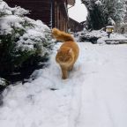 Зимнее фото