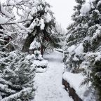 Зимний пейзаж