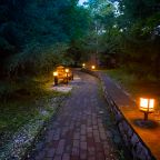 Летний пейзаж, вечер