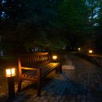 Летний вечерний пейзаж