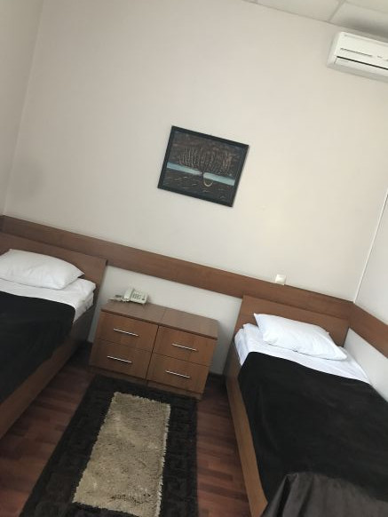 Фотография номера гостиницы Камелия-В