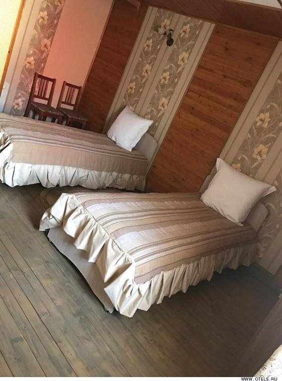 Двухместный (Бюджетный двухместный номер с 2 отдельными кроватями) гостевого дома Ирис, Ижевск
