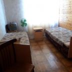 Двухместный (Двухместный номер эконом-класса с 2 отдельными кроватями), Гостевой дом Анли