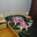 Двухместный (Двухместный номер с 1 кроватью), Гостиница Wings