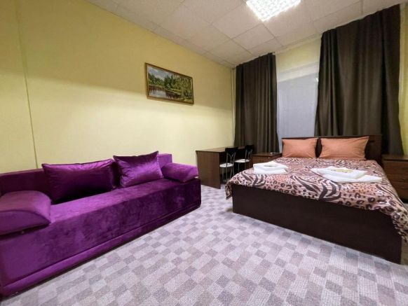 Фотография номера гостиницы Ладомир на Зельевом